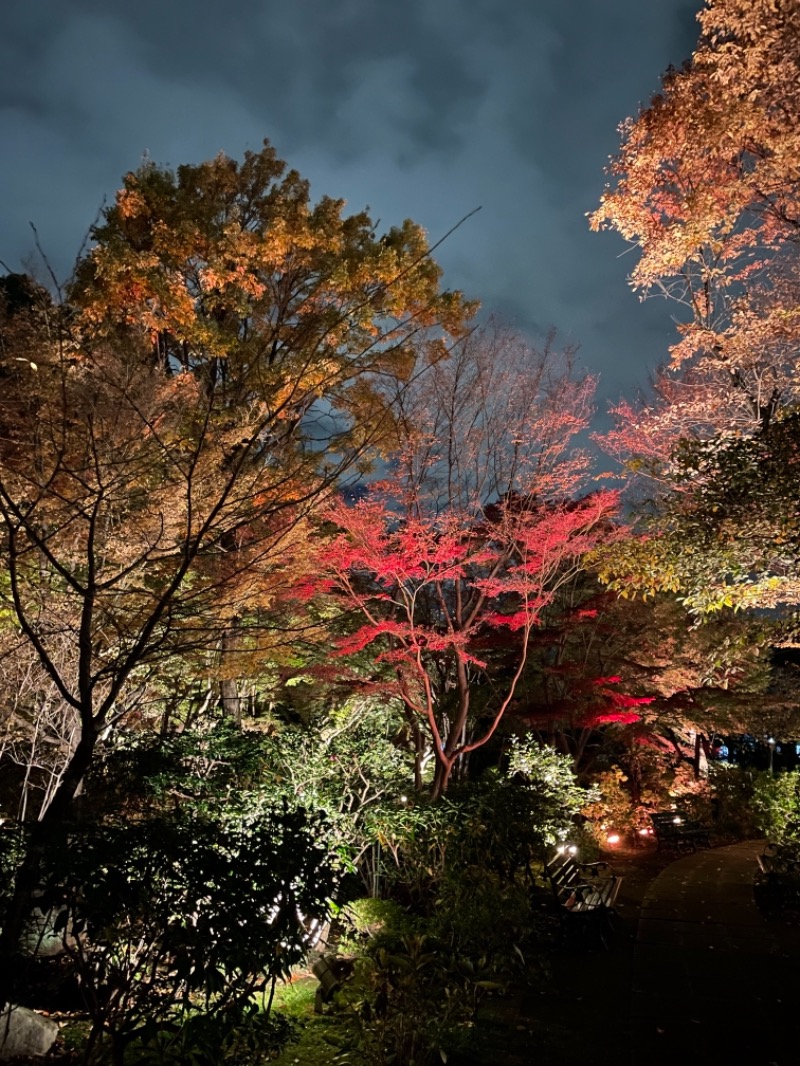 Kenta Hoshinoさんの豊島園 庭の湯のサ活写真