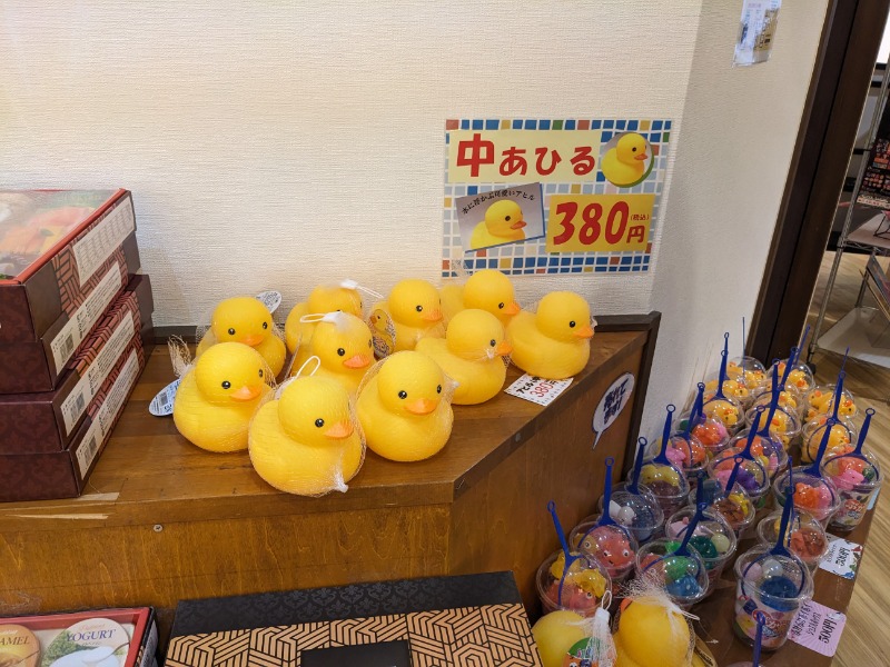 なっつるこさんの極楽湯 柏店のサ活写真