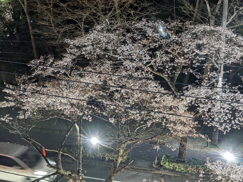 なっつるこさんの天然温泉 富士桜の湯 ドーミーインEXPRESS富士山御殿場のサ活写真
