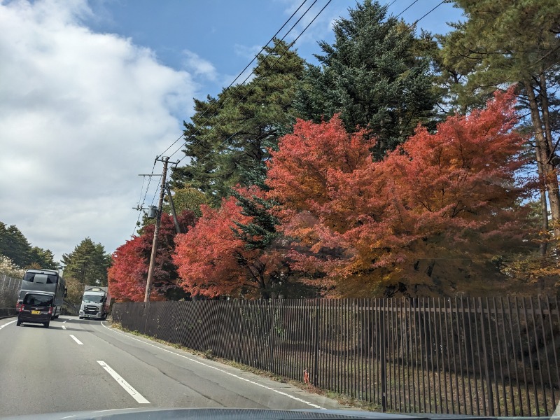 なっつるこさんのホテル&薬草風呂 スターらんどのサ活写真