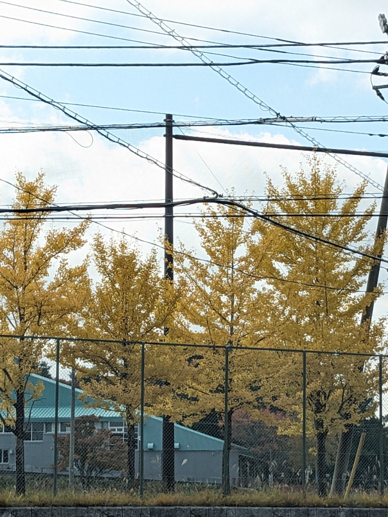 なっつるこさんのホテル&薬草風呂 スターらんどのサ活写真