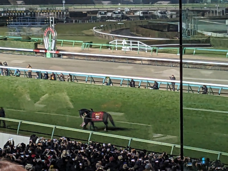 なっつるこさんの足柄浪漫館 あしがら湯のサ活写真