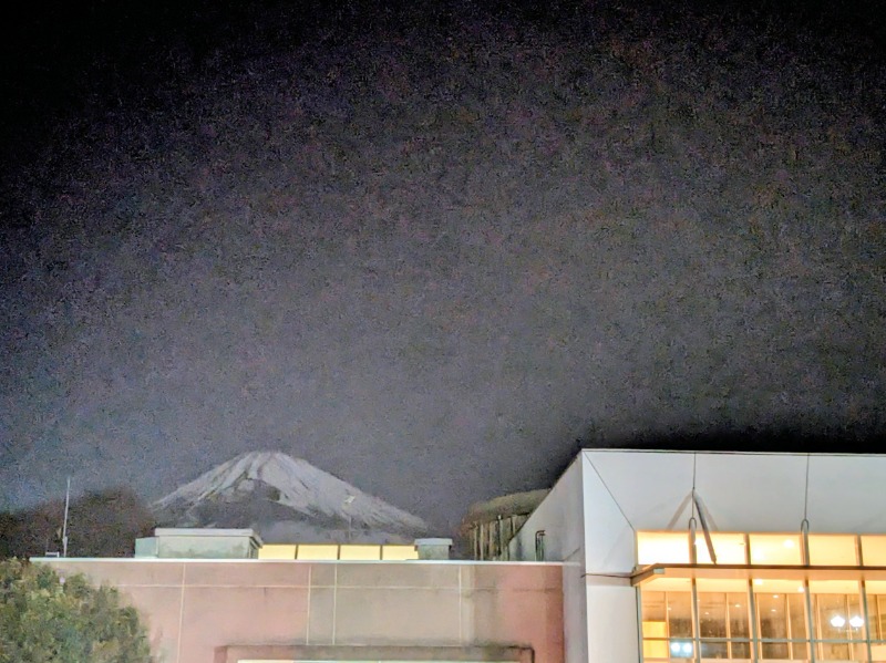 なっつるこさんの裾野温泉 ヘルシーパーク裾野のサ活写真