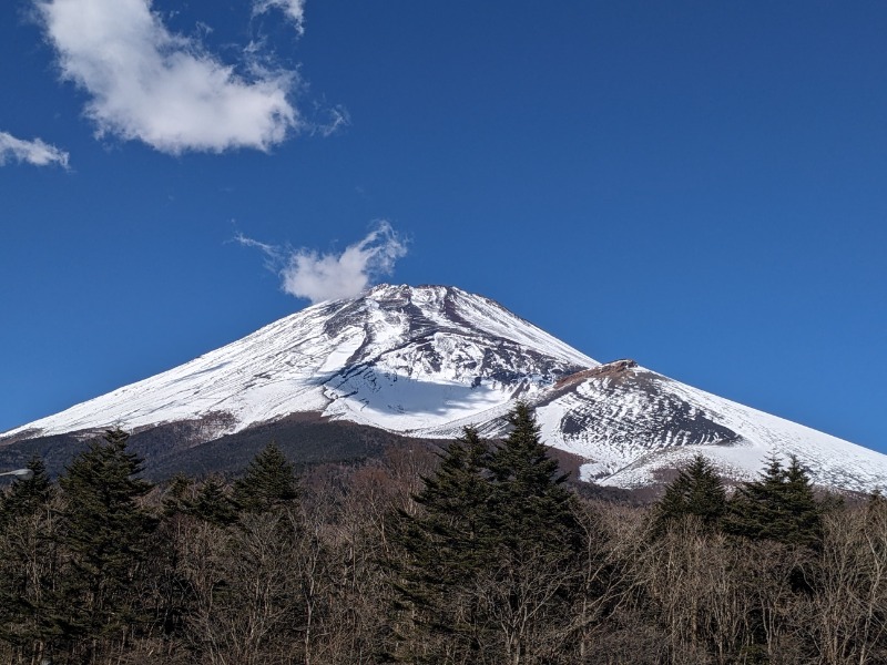 なっつるこさんの富嶽温泉 花の湯のサ活写真