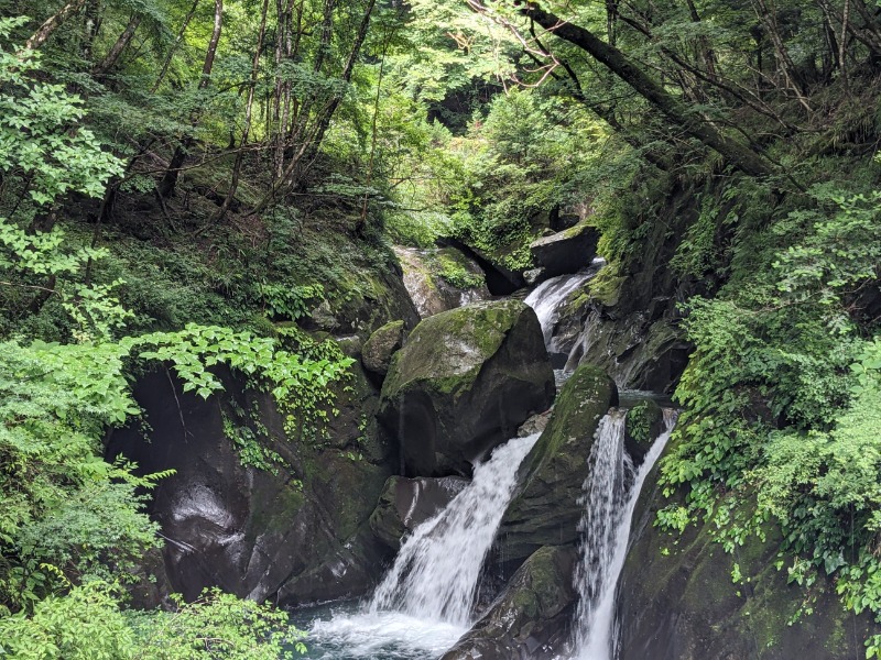 なっつるこさんの奥山温泉のサ活写真