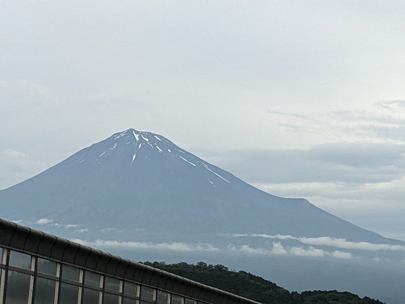 なっつるこさんの駿河の湯 坂口屋のサ活写真