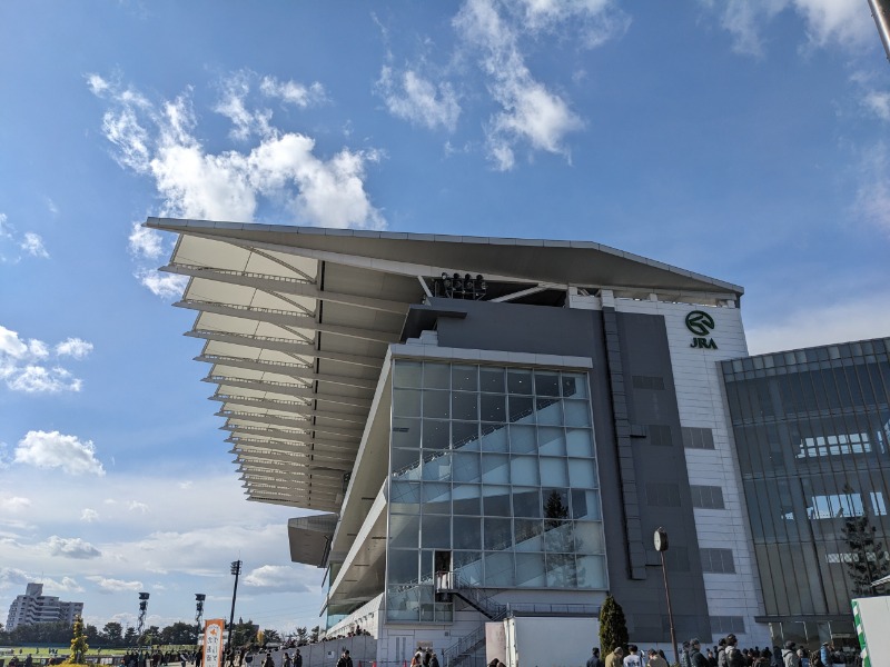 なっつるこさんの駿河の湯 坂口屋のサ活写真