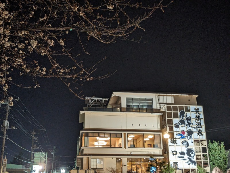 なっつるこさんの駿河の湯 坂口屋のサ活写真