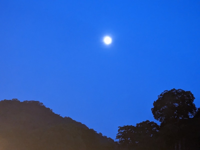 なっつるこさんの修善寺時之栖 百笑の湯のサ活写真