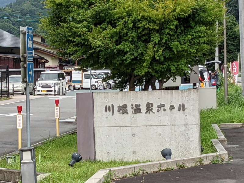 なっつるこさんの大井川鐵道 川根温泉ホテルのサ活写真