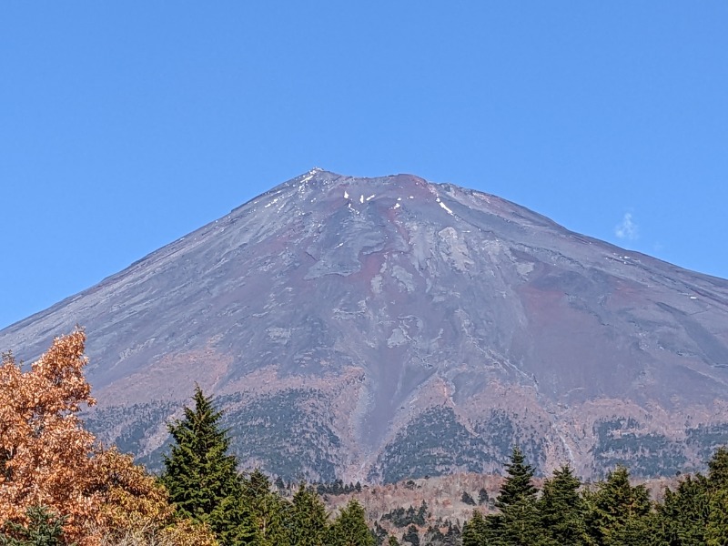 なっつるこさんの大井川鐵道 川根温泉ホテルのサ活写真