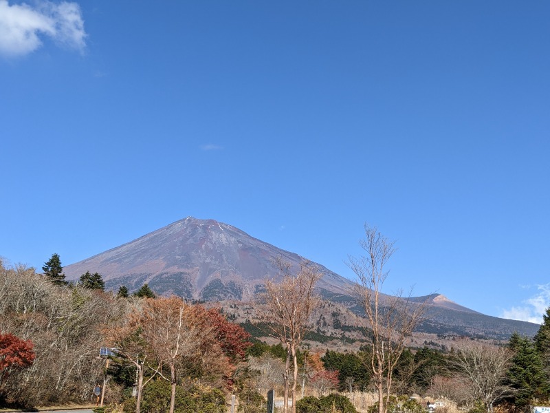 なっつるこさんの大井川鐵道 川根温泉ホテルのサ活写真