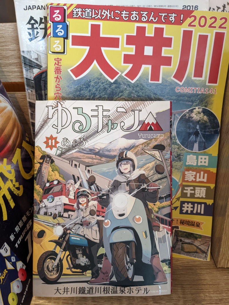 なっつるこさんの大井川鐵道 川根温泉ホテルのサ活写真