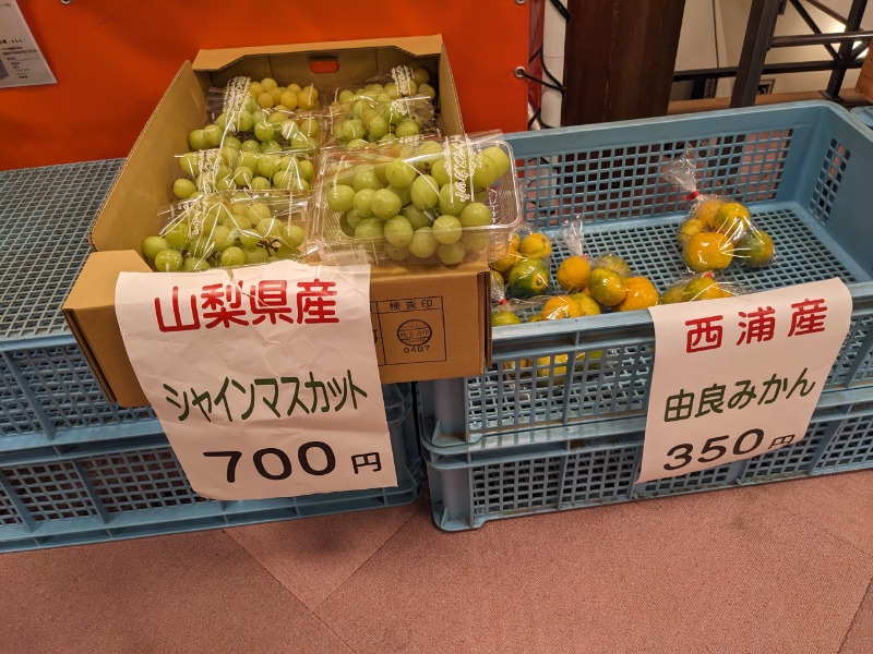 なっつるこさんの湯の国会館のサ活写真