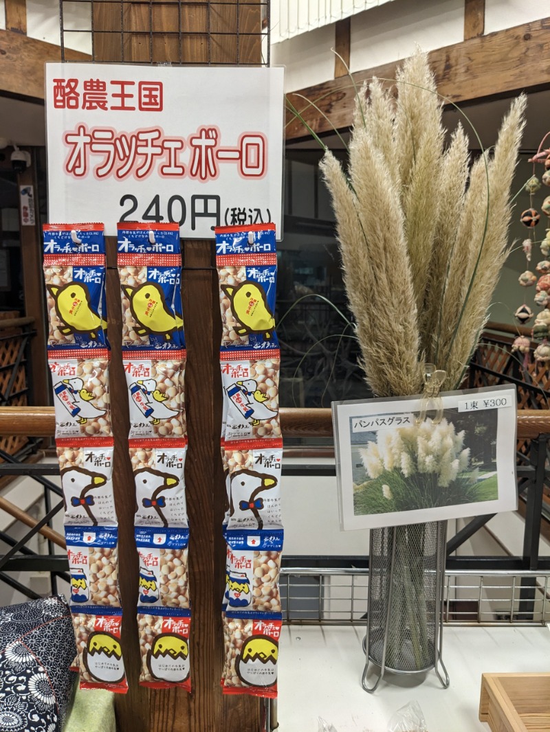 なっつるこさんの湯の国会館のサ活写真