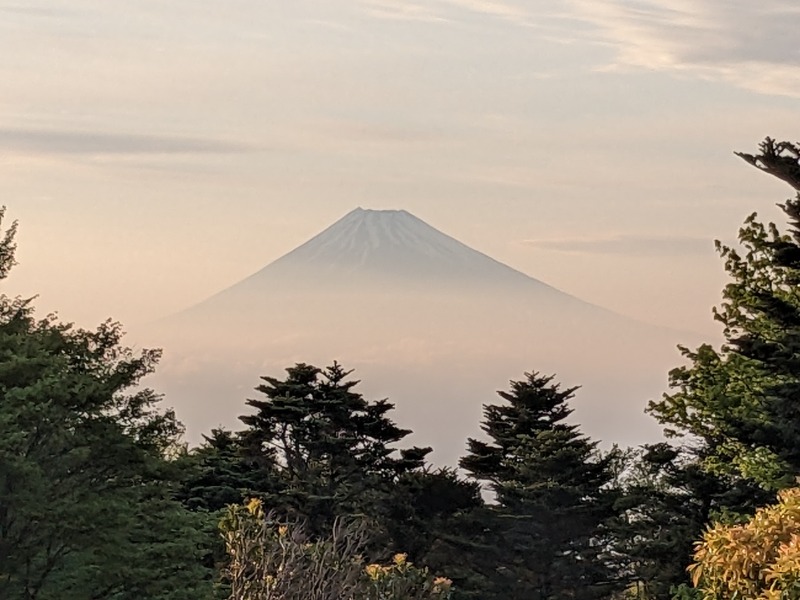 なっつるこさんのホテルハーヴェスト 天城高原のサ活写真