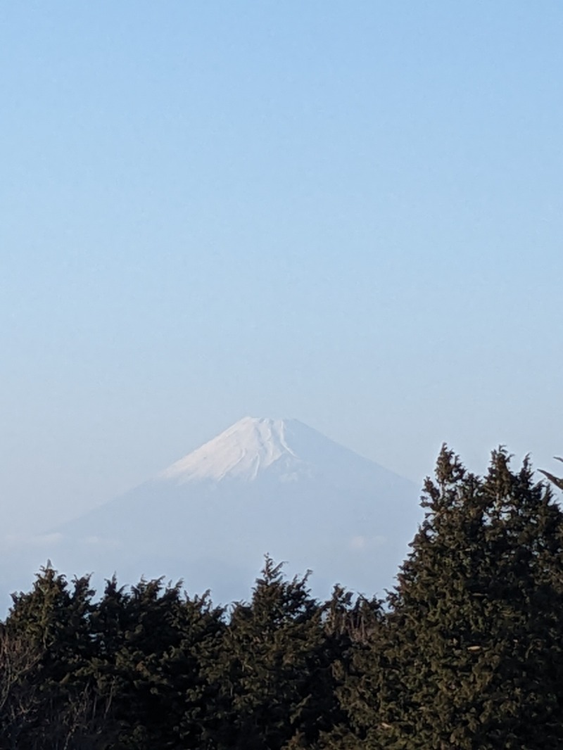 なっつるこさんの東急ハーヴェストクラブ天城高原(ホテルハーヴェスト天城高原)のサ活写真