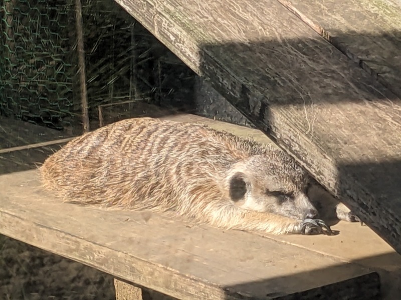 なっつるこさんの観音温泉 プリンシプルのサ活写真