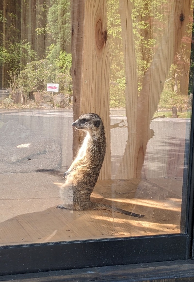 なっつるこさんの観音温泉 プリンシプルのサ活写真