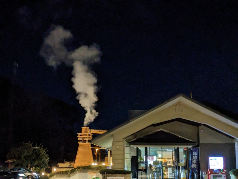 なっつるこさんの下賀茂温泉 銀の湯会館のサ活写真