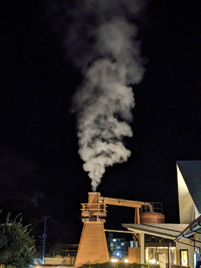 なっつるこさんの下賀茂温泉 銀の湯会館のサ活写真