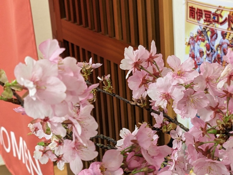 なっつるこさんの下賀茂温泉 銀の湯会館のサ活写真