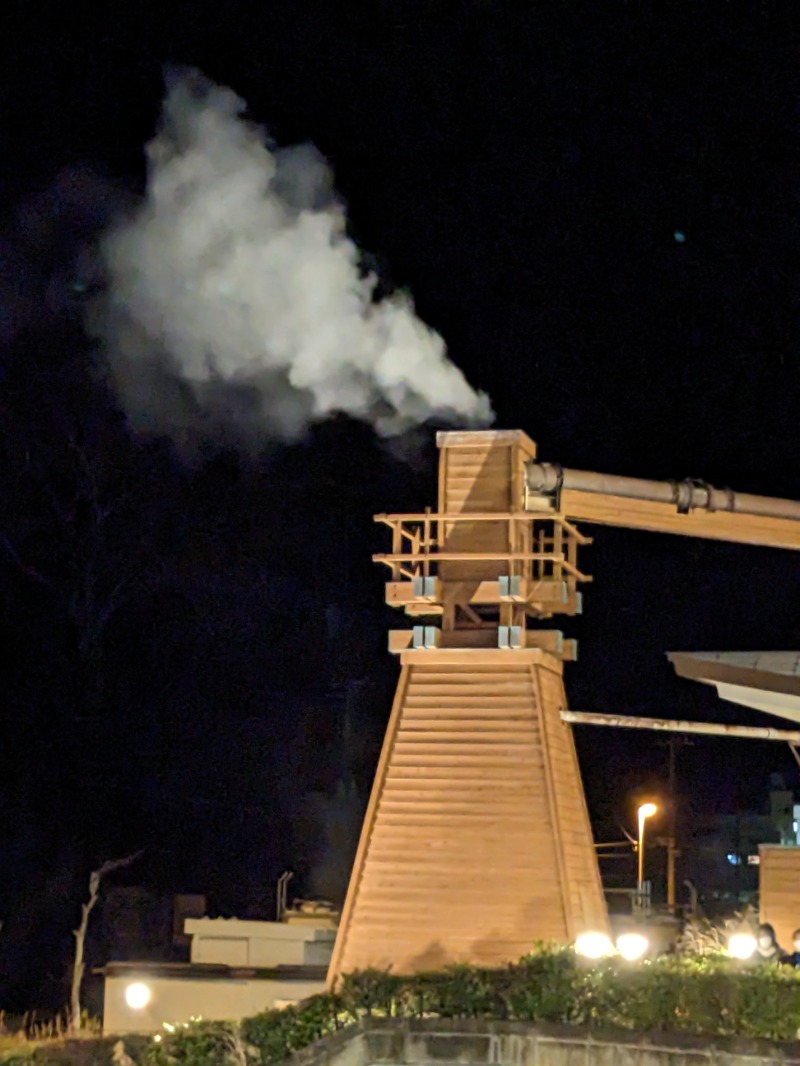なっつるこさんの下賀茂温泉 銀の湯会館のサ活写真