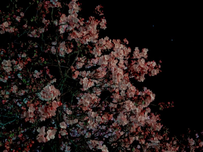 なっつるこさんの下賀茂温泉 銀の湯会館のサ活写真