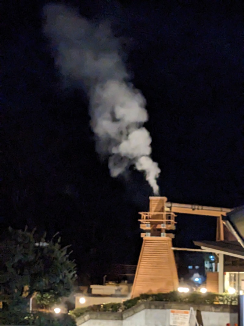 なっつるこさんの下賀茂温泉 銀の湯会館のサ活写真