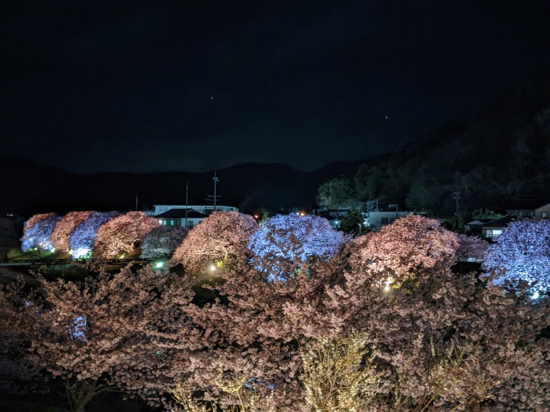 なっつるこさんの下賀茂温泉 銀の湯会館のサ活写真