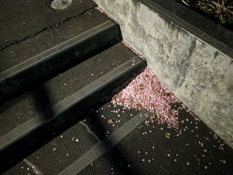 なっつるこさんの下賀茂温泉 銀の湯会館のサ活写真