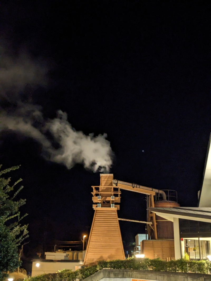 なっつるこさんの下賀茂温泉 銀の湯会館のサ活写真