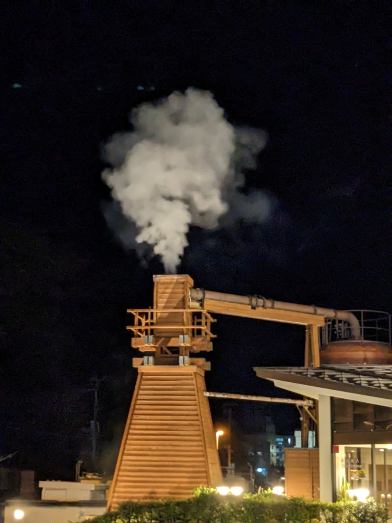 なっつるこさんの下賀茂温泉 銀の湯会館のサ活写真