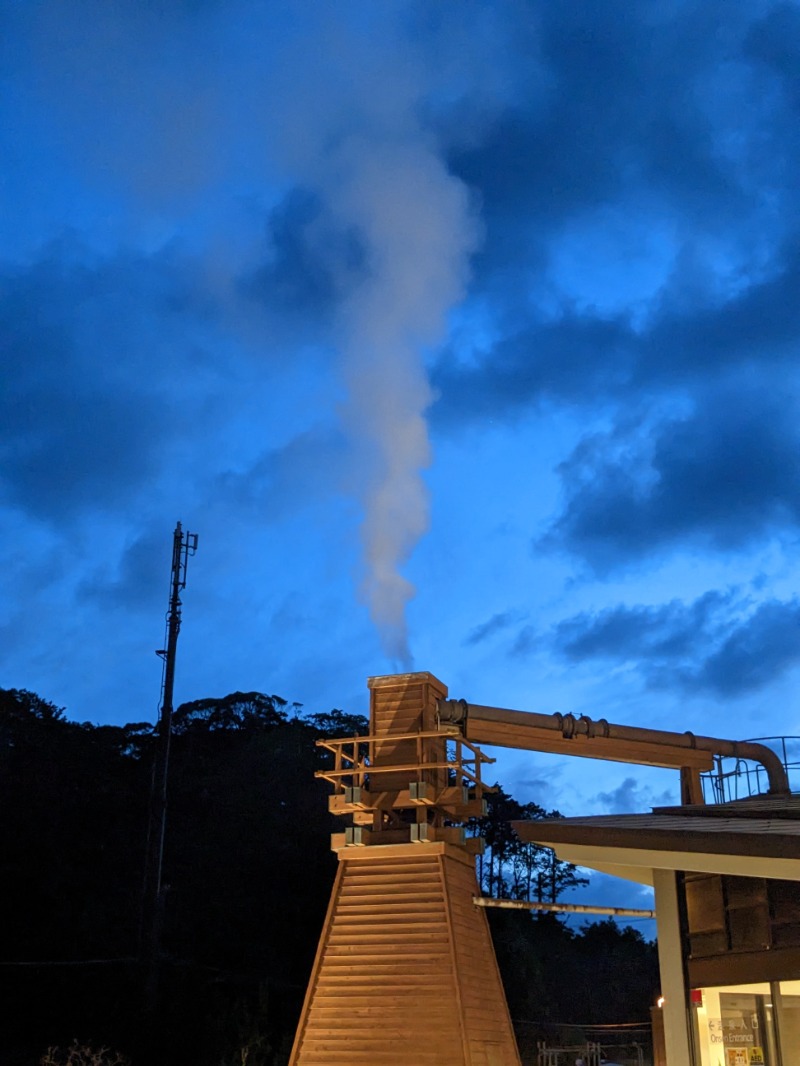 なっつるこさんの下賀茂温泉 銀の湯会館のサ活写真