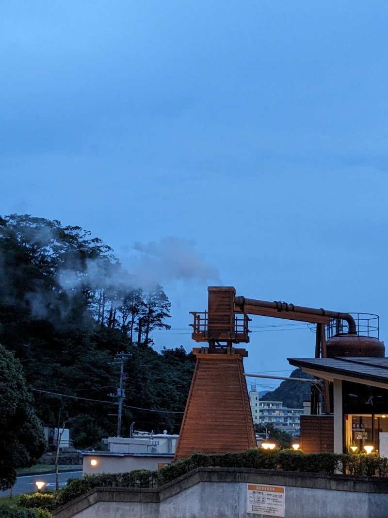 なっつるこさんの下賀茂温泉 銀の湯会館のサ活写真