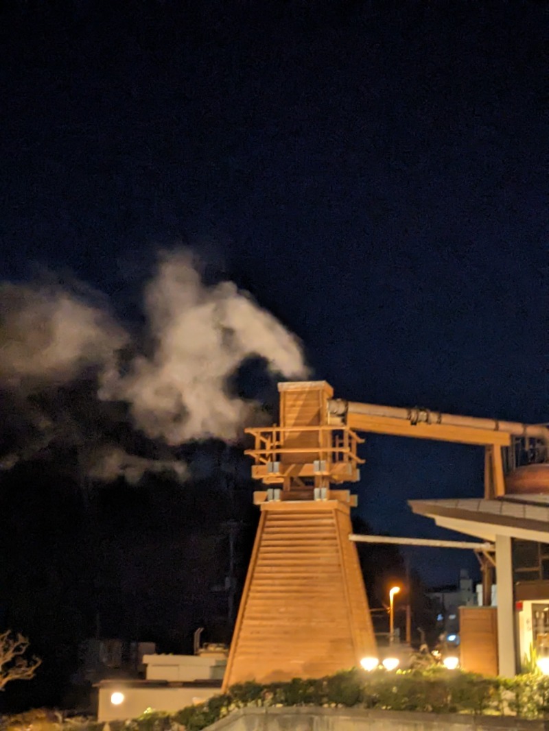 なっつるこさんの下賀茂温泉 銀の湯会館のサ活写真