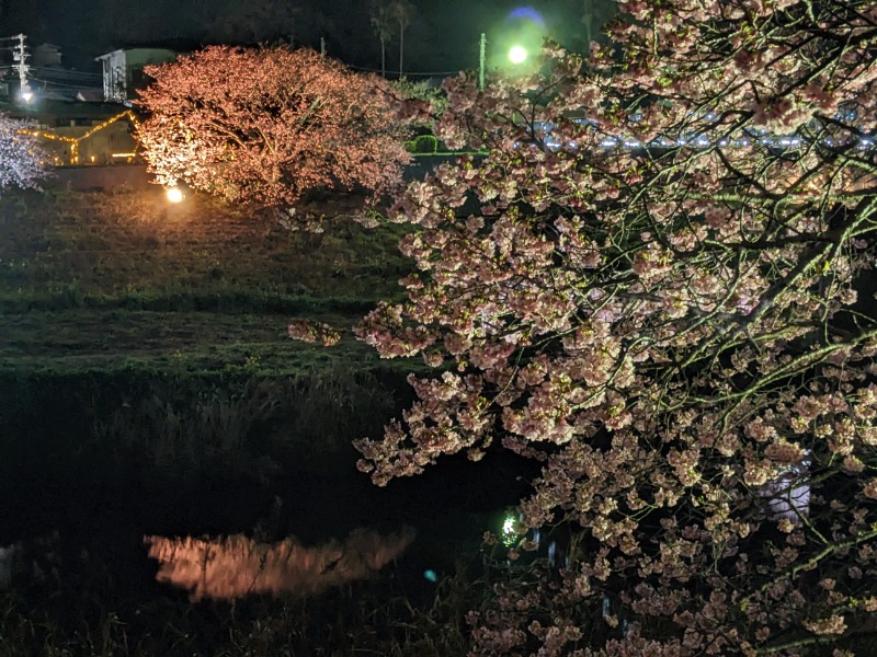 なっつるこさんの下賀茂温泉 銀の湯会館のサ活写真