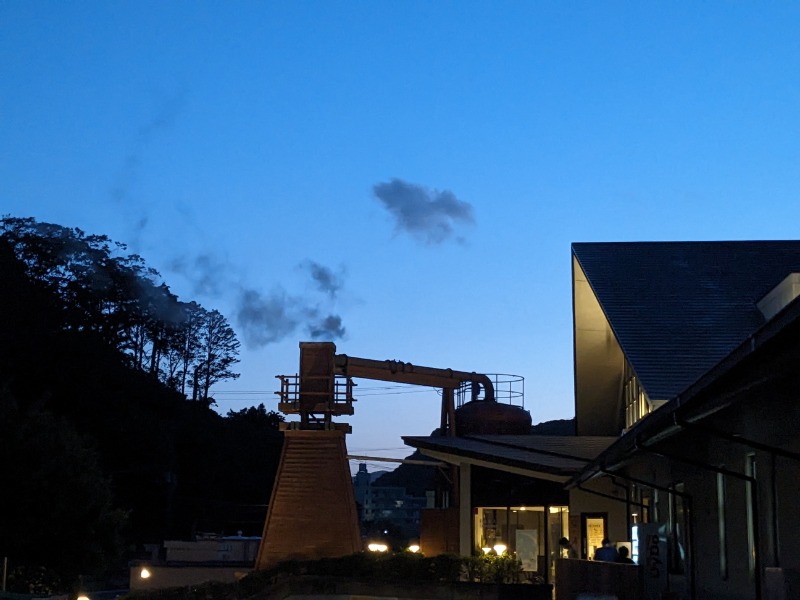 なっつるこさんの下賀茂温泉 銀の湯会館のサ活写真