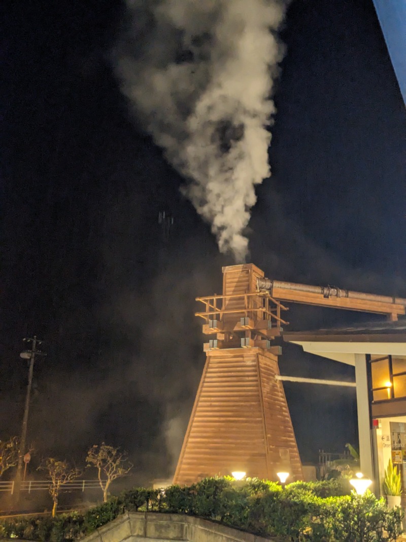 なっつるこさんの下賀茂温泉 銀の湯会館のサ活写真