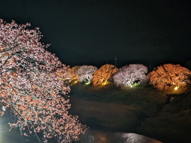 なっつるこさんの下賀茂温泉 銀の湯会館のサ活写真