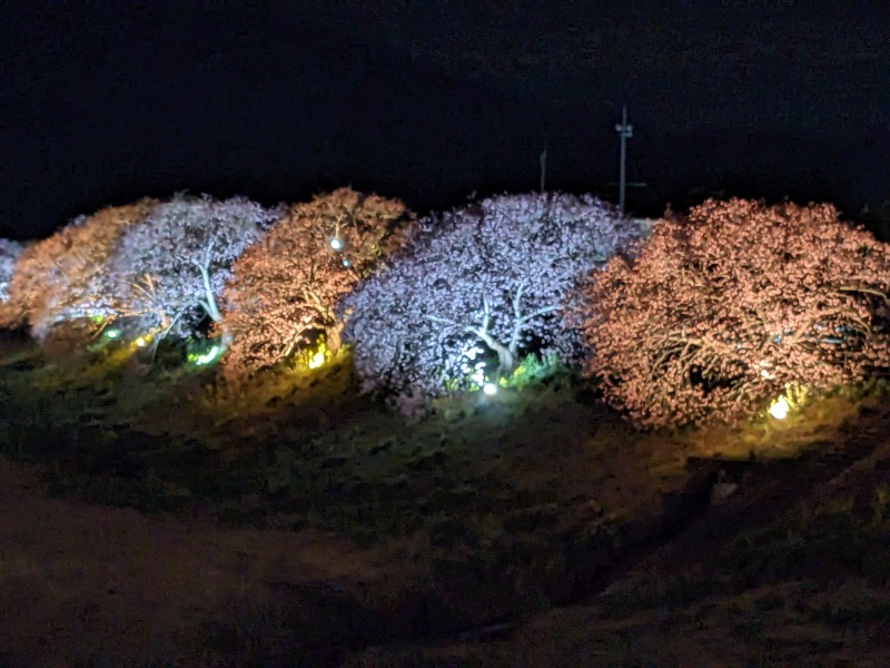 なっつるこさんの下賀茂温泉 銀の湯会館のサ活写真