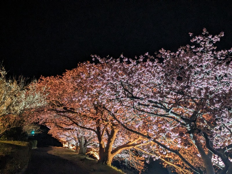 なっつるこさんの下賀茂温泉 銀の湯会館のサ活写真