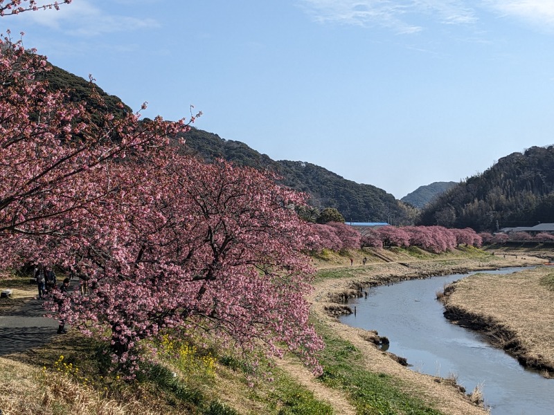 なっつるこさんの下賀茂温泉 銀の湯会館のサ活写真