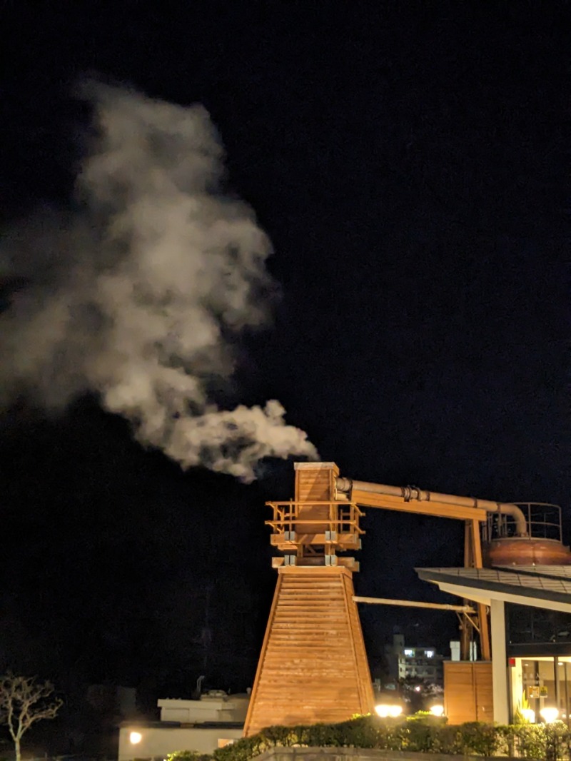 なっつるこさんの下賀茂温泉 銀の湯会館のサ活写真
