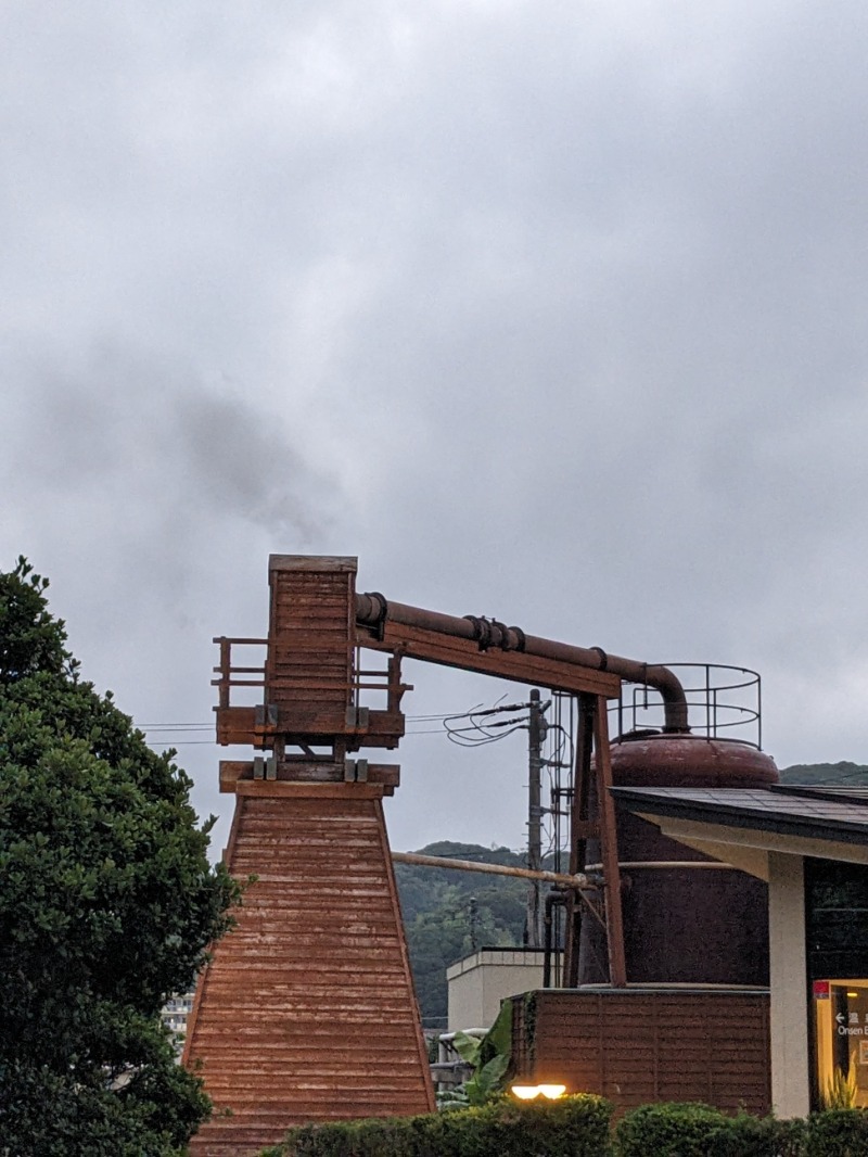 なっつるこさんの下賀茂温泉 銀の湯会館のサ活写真