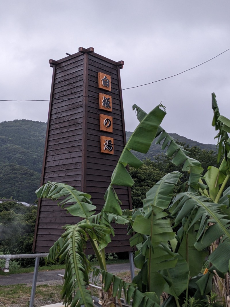 なっつるこさんの下賀茂温泉 銀の湯会館のサ活写真