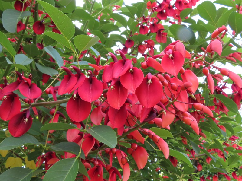 なっつるこさんの下賀茂温泉 銀の湯会館のサ活写真