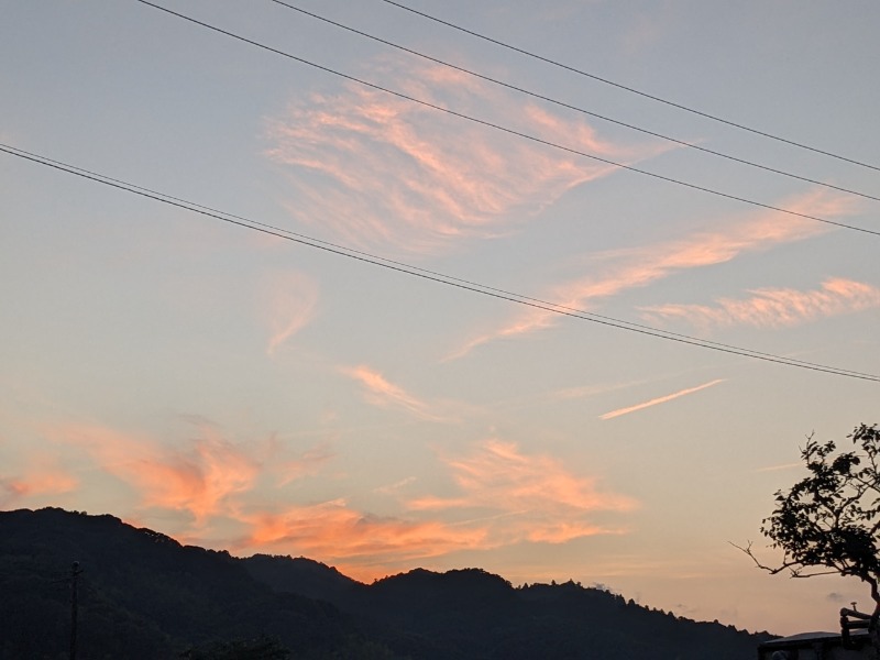 なっつるこさんの下賀茂温泉 銀の湯会館のサ活写真