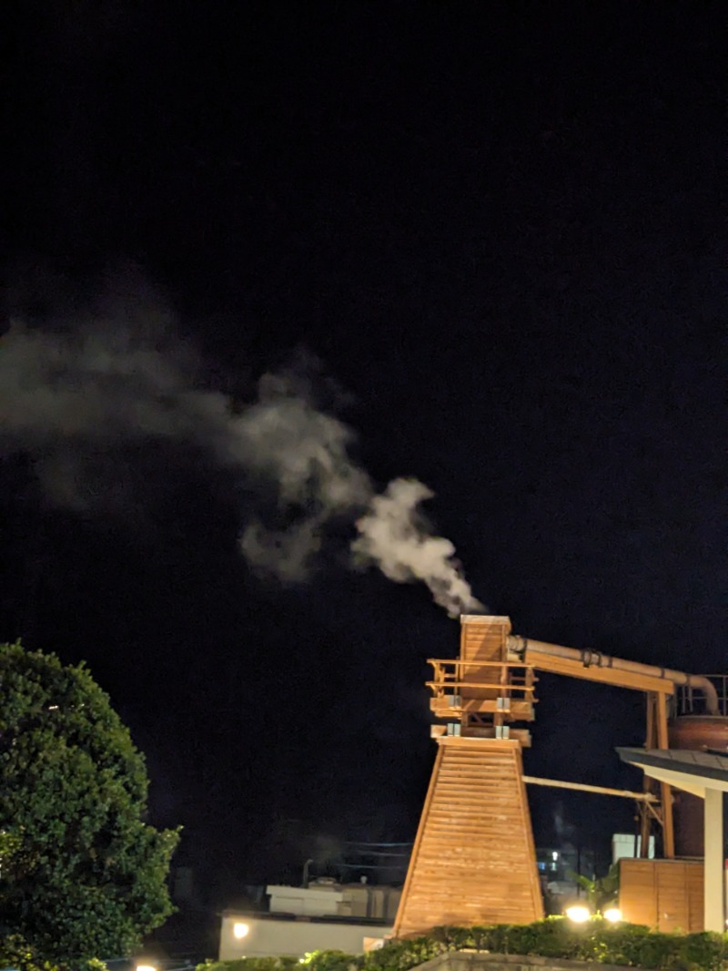 なっつるこさんの下賀茂温泉 銀の湯会館のサ活写真