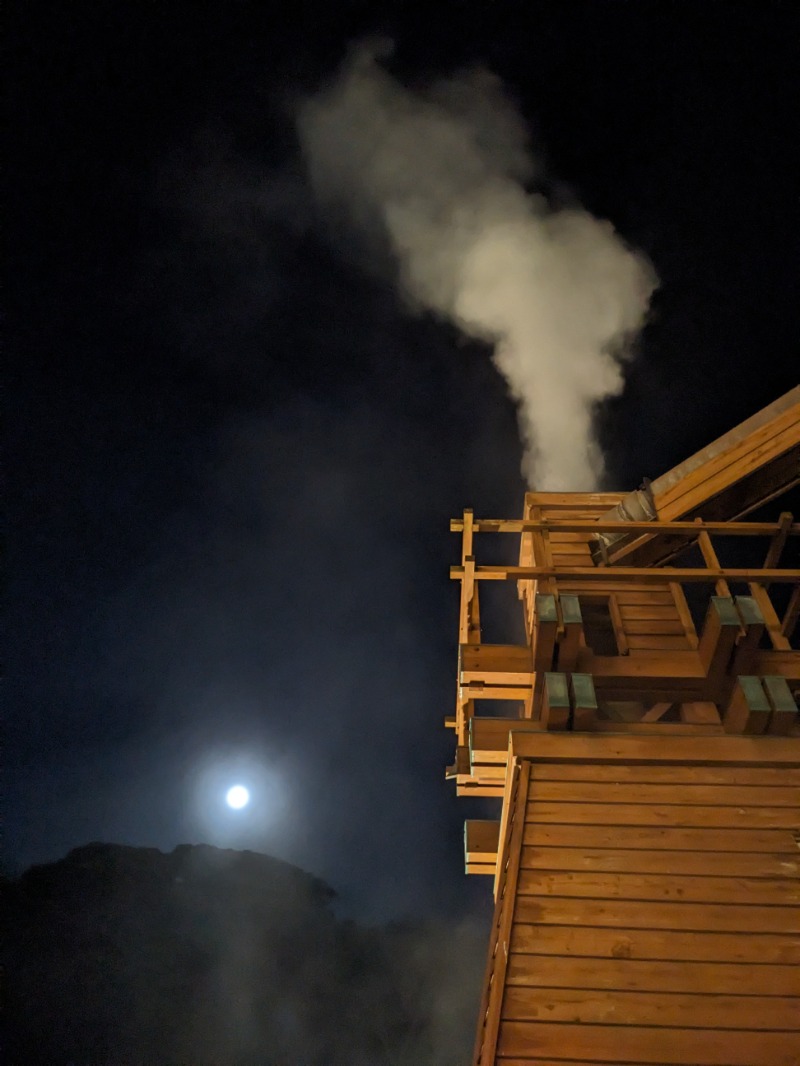 なっつるこさんの下賀茂温泉 銀の湯会館のサ活写真